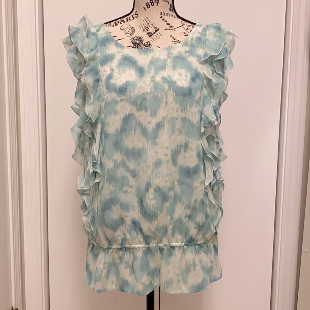 Anna Taylor Loft blouse